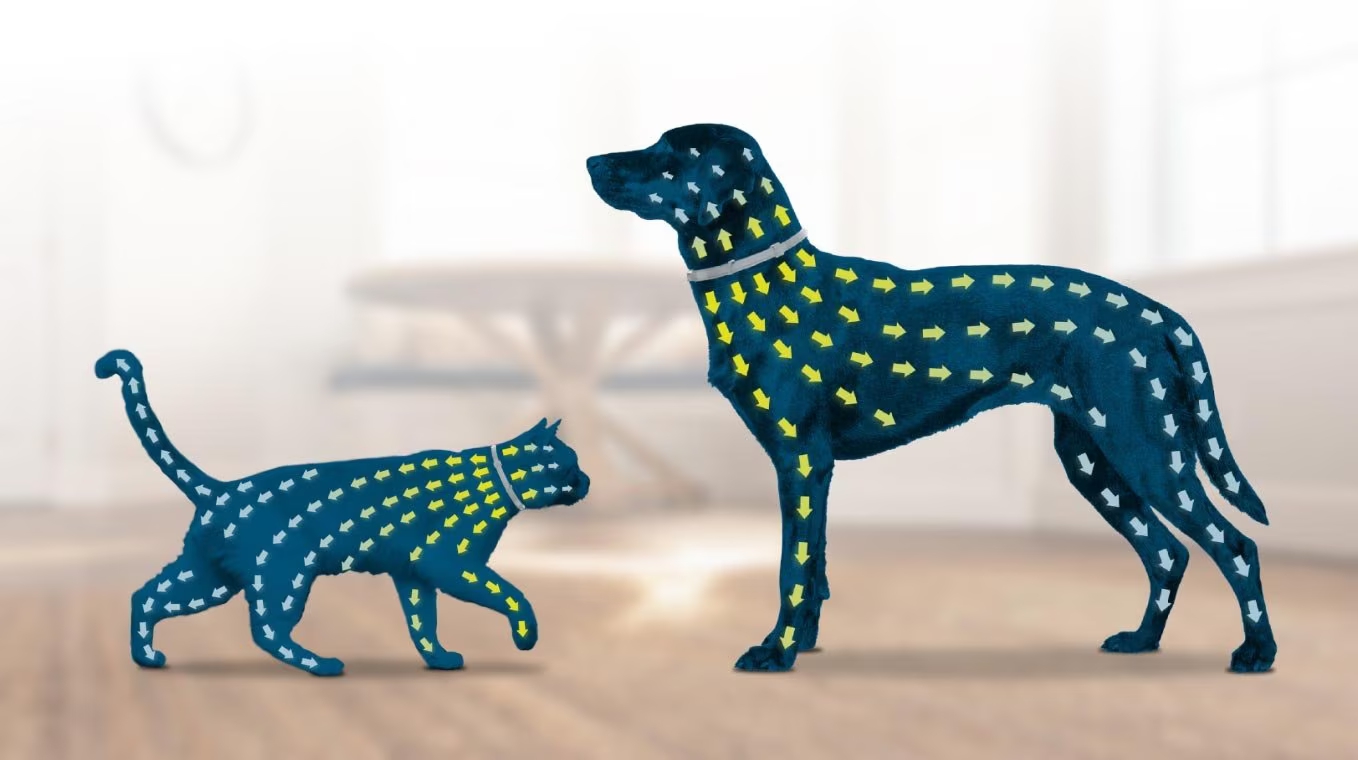 How the Seresto collar works