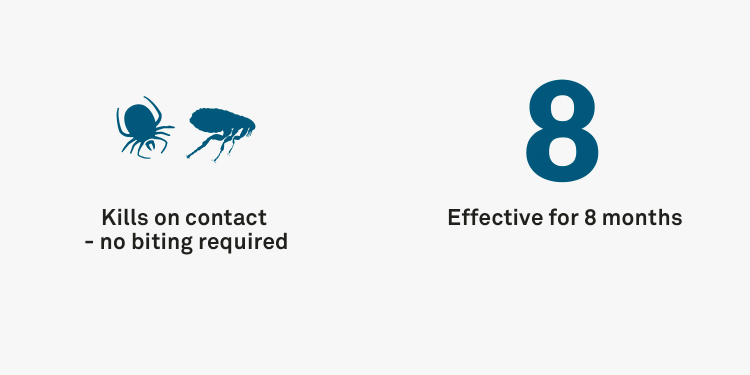 Seresto for Cats - Benefits